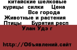 китайские шелковые курицы (силки) › Цена ­ 2 500 - Все города Животные и растения » Птицы   . Бурятия респ.,Улан-Удэ г.